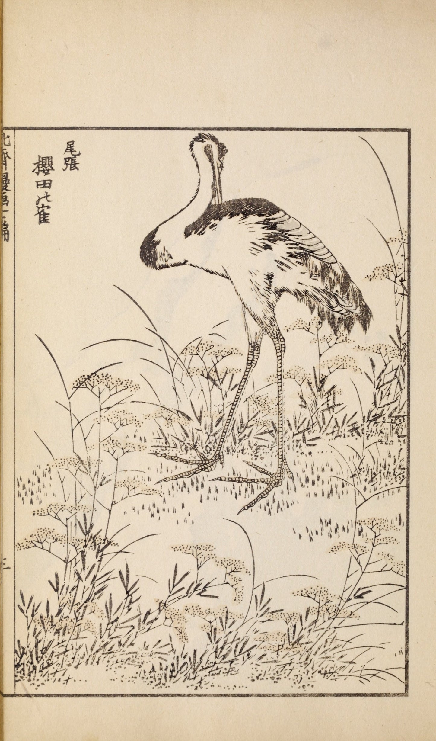 Hokusai, Katsushika, Manga, 1912 facsimile (59 pages)