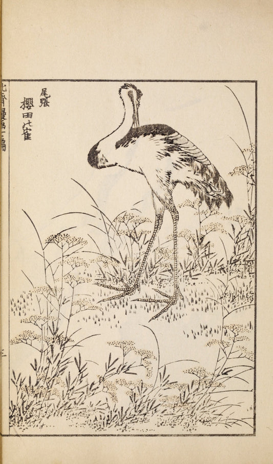 Hokusai, Katsushika, Manga, 1912 facsimile (59 pages)